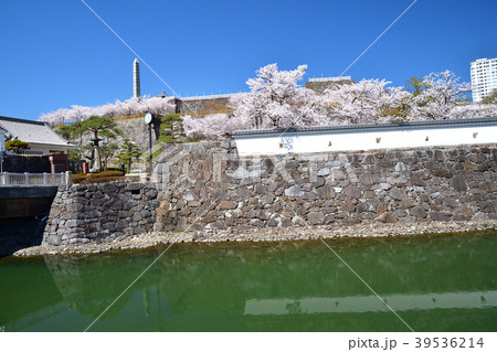 春爛漫の甲府城 39536214