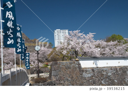 春爛漫の甲府城 39536215