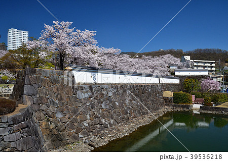 春爛漫の甲府城 39536218