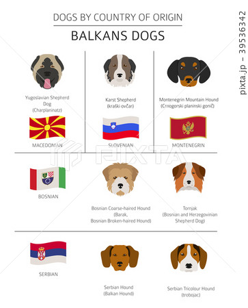 Dogs by country of origin. Balkans dog breeds 39536342