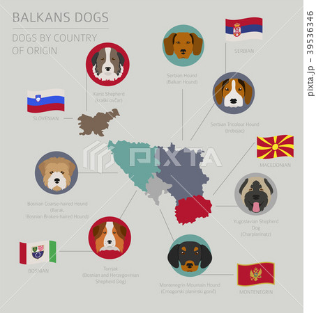 Dogs by country of origin. Balkans dog breeds 39536346