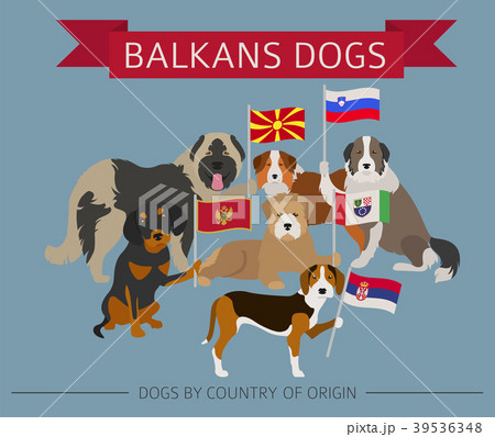 Dogs by country of origin. Balkans dog breeds 39536348