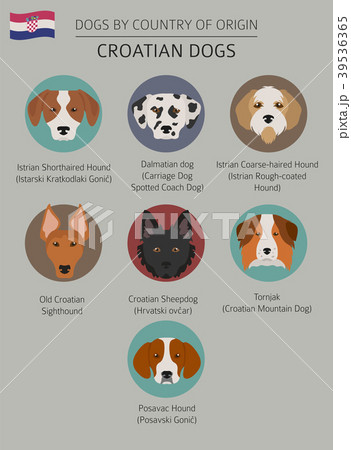 Dogs by country of origin. Croatian dog breeds Dogs by country of origin. Croatian dog breeds 39536365