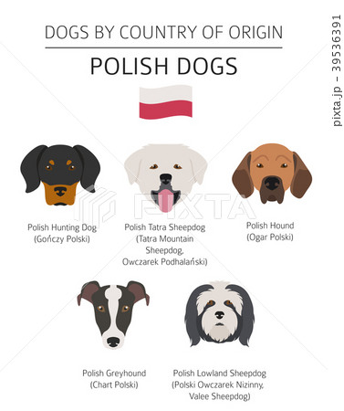 what country are dogs native to