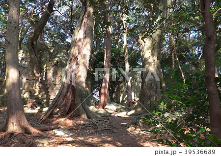 天白磐座遺跡　渭伊神社 39536689