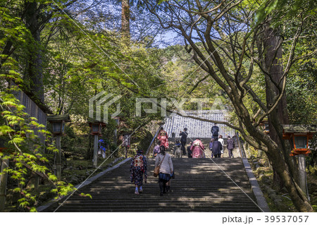 京都　法輪寺　春　十三まいり 39537057