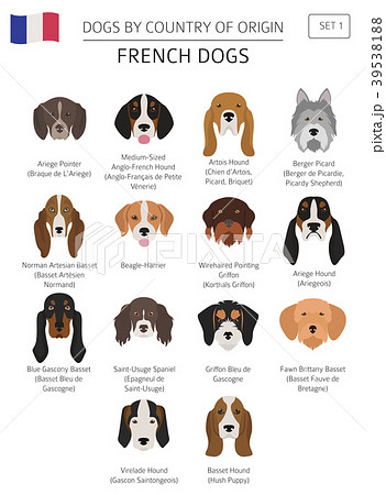Dogs by country of origin. French dog breeds Dogs by country of origin. French dog breeds 39538188