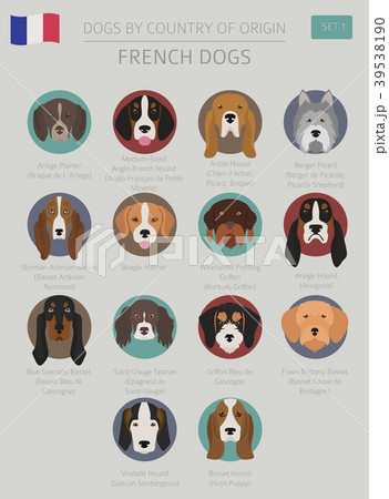 Dogs by country of origin. French dog breeds Dogs by country of origin. French dog breeds 39538190