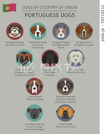Dogs by country of origin. Portuguese dog breeds 39538212