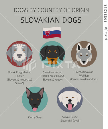 Dogs by country of origin. Slovakian dog breeds 39538218