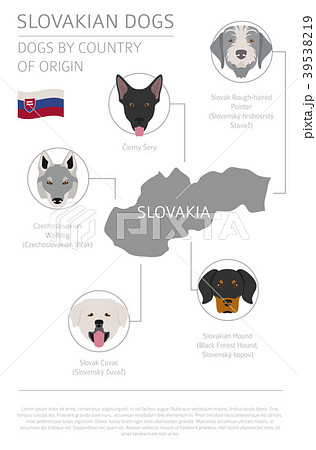 Dogs by country of origin. Slovakian dog breeds 39538219