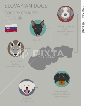 Dogs by country of origin. Slovakian dog breeds 39538220