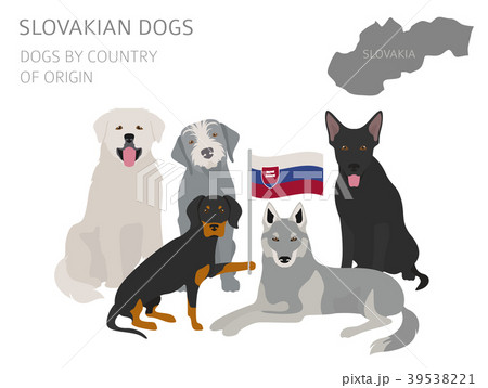 Dogs by country of origin. Slovakian dog breeds 39538221