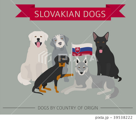 Dogs by country of origin. Slovakian dog breeds 39538222