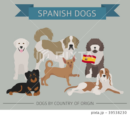 Dogs by country of origin. Spanish dog breeds. 39538230