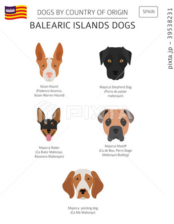 Dogs by country of origin. Balearic islands dogs 39538231