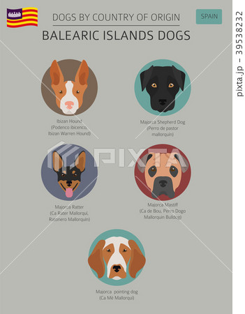 Dogs by country of origin. Balearic islands dogs 39538232