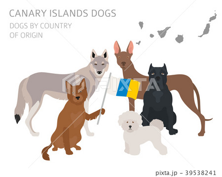 Dogs by country of origin. Canarian dog breeds Dogs by country of origin. Canarian dog breeds 39538241