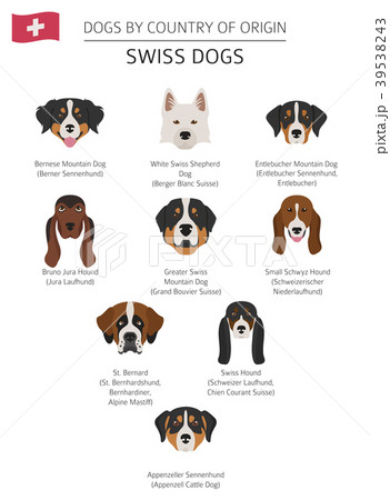 brown large dog breeds