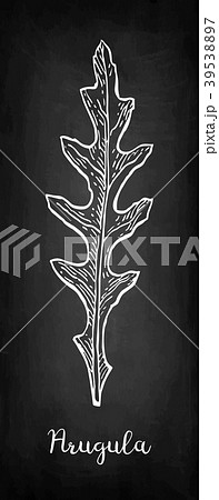 Chalk sketch of arugula 39538897