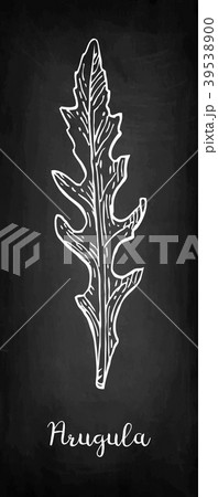 Chalk sketch of arugula 39538900