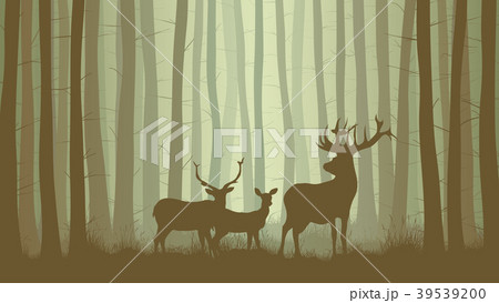 llustration of misty forest withfamily deer. 39539200