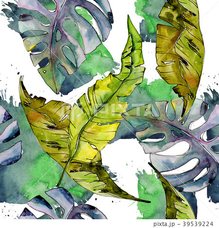 Tropical Hawaii leaves tree pattern in a 39539224