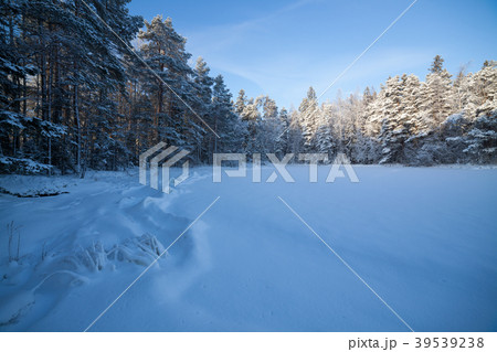Frozen lake shore and snow covered forest Frozen lake shore and snow covered forest 39539238
