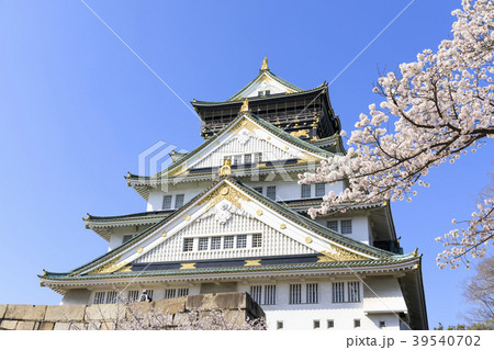 大阪城・満開の桜 大阪城・満開の桜 39540702