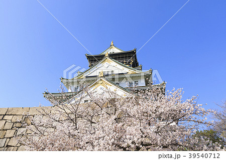 大阪城・満開の桜 大阪城・満開の桜 39540712