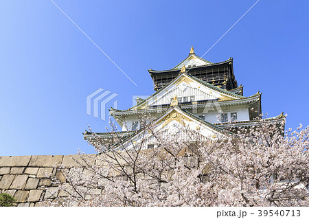 大阪城・満開の桜 大阪城・満開の桜 39540713