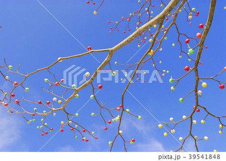 だんごさし　大内宿　下郷町 39541848