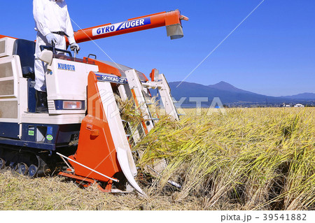 稲刈り　コンバイン　会津 39541882
