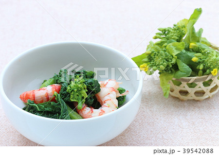 菜の花と海老の和え物 菜の花と海老の和え物 39542088