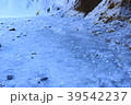 スコーガフォスの滝 39542237