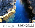 ギャウ 39542388