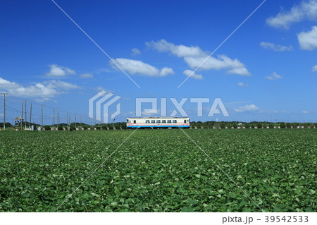 ひたちなか海浜鉄道　夏景色 39542533