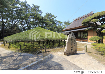 香川県丸亀市「中津万象園」大傘松と母屋 39542681