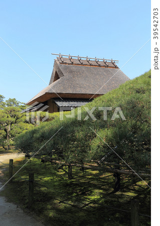 香川県丸亀市「中津万象園」大傘松と母屋 39542703