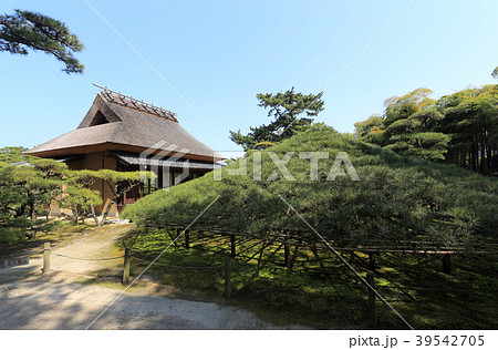 香川県丸亀市「中津万象園」大傘松と母屋 39542705