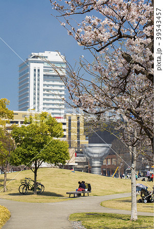 いこいの道の桜と大分駅ビル 39543457