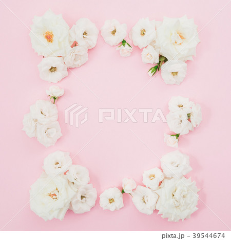 Floral round frame of white roses on pink 39544674