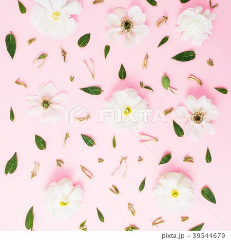 White flowers and leaves on pink background. Flat White flowers and leaves on pink background. Flat 39544679