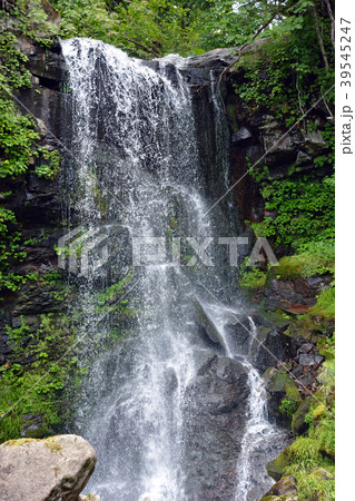 深緑の滝 39545247