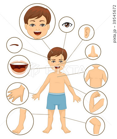 Kid Boy Body Parts Illustrationのイラスト素材