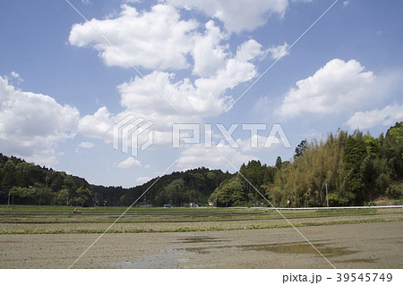 千葉県茂原市 4月 39545749