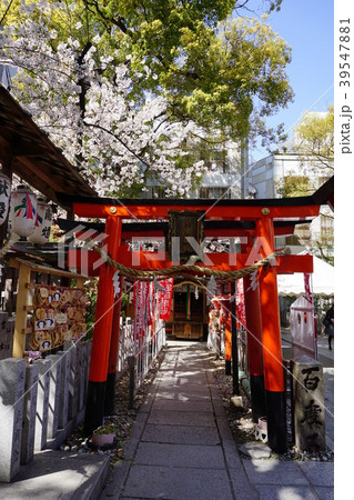大阪　お初神社の稲荷鳥居 39547881