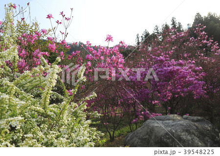 夕やけ小やけふれあいの里 東京都八王子市 夕やけ小やけふれあいの里 東京都八王子市 39548225