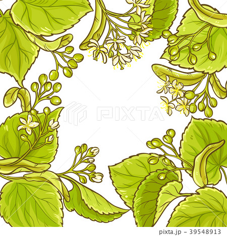 Linden Vector Frameのイラスト素材