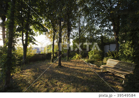 First rays of the sun. 39549584